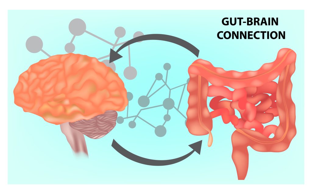 The Gut-Brain Connection: How Your Digestion Affects Anxiety